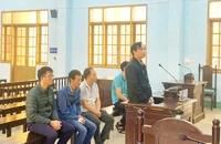Tuyên án 6 người làm khống hồ sơ đăng kiểm ở Gia Lai