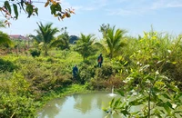 Gia Lai: 2 cháu nhỏ mất tích 2 ngày, mẹ tưởng con theo bố lên rẫy