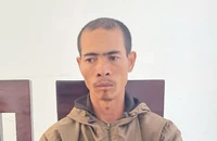 Khởi tố bị can anh rể hủy hoại vườn cà phê em vợ