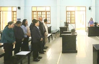 Hoãn phiên tòa xử cựu phó chủ tịch huyện cấp khống sổ hồng