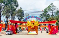 Tỉnh Bình Định giao UBND cấp huyện lập phương án bố trí tài sản khi sắp xếp