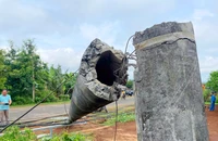 Khắc phục xong hàng loạt trụ điện bị gãy đôi ở Gia Lai