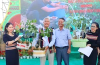 Tri thức dân gian về sâm Ngọc Linh tại Kon Tum là di sản phi vật thể quốc gia