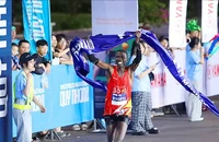 Hơn 12.000 VĐV tham gia giải VnExpress Marathon Quy Nhơn 2025