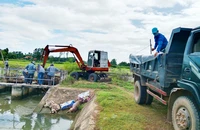Chủ tịch xã gửi thư xin lỗi dân vì tình trạng vứt xác heo bừa bãi gây ô nhiễm