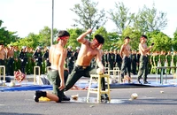 Màn trình diễn võ thuật ấn tượng trong ngày ra quân trấn áp tội phạm của Công an tỉnh Gia Lai 