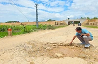 Yêu cầu khắc phục hư hỏng đường khi thi công cao tốc Bắc-Nam qua Gia Lai