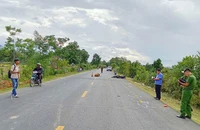 Nam thanh niên tử vong sau khi xe tông bò thả rông trên quốc lộ 25
