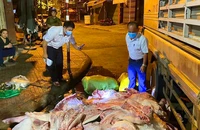 Phát hiện hơn 1 tấn thịt heo có dấu hiệu dịch bệnh đang đưa đi tiêu thụ