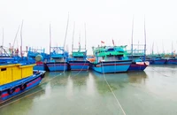 Gia Lai: Hỗ trợ tiền cho hơn 400 tàu cá không đủ điều kiện ra khơi