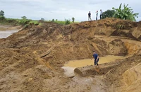 Làm rõ hành vi hủy hoại bờ sông ở Gia Lai để khai thác gỗ lạ 