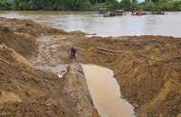 Giao công an điều tra vụ đào bới bờ sông lấy cây gỗ lạ ở Gia Lai