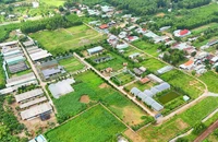 Gia Lai xem xét thu hồi dự án 'núp bóng' trồng rau để chăn nuôi bò, dê