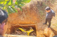 Công an tỉnh Gia Lai kêu gọi tố giác tội phạm liên quan vụ cướp ngân hàng