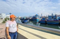 Nhiều tàu cá ngư dân Gia Lai chưa ra khơi vì sợ lỗ