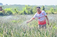 Nông dân Gia Lai vượt 'bão' giá dầu nhờ điện mặt trời