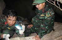Hành trình 5 năm giải mã 'mê cung' núi Chư Pa để tìm hài cốt liệt sĩ