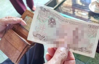 Hỗ trợ cây trồng thiệt hại do bão lũ: Nhiều người chờ để nhận vài ngàn đồng
