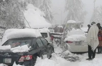 Xe du khách chết máy nối đuôi nhau vì tuyết rơi nặng ở thị trấn Murree hôm 8-1. Ảnh: REUTERS