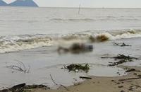 Thi thể 1 phụ nữ mặc áo có chữ ‘A di đà Phật’ dạt vào bờ biển Hà Tĩnh