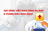 Biểu đồ giá xăng Việt Nam tăng 12 lần chỉ trong sáu tháng