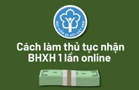 Cách làm thủ tục nhận BHXH 1 lần online