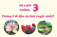 Tháng 3 đi đâu du lịch là tuyệt nhất?