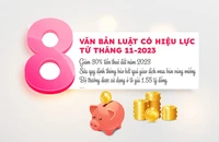 8 văn bản luật có hiệu lực từ tháng 11-2023
