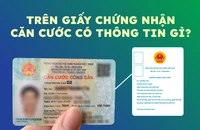 Trên giấy chứng nhận căn cước có thông tin gì?