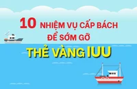 10 nhiệm vụ cấp bách để sớm gỡ thẻ vàng IUU