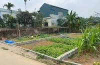 Bộ Tư pháp 'tuýt còi' văn bản tạm dừng tách thửa đất của Hà Nội