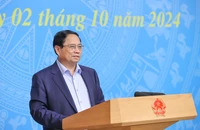 Thủ tướng: Triển khai hiệu quả Đề án 1 triệu ha lúa chất lượng cao vùng đồng bằng sông Cửu Long 