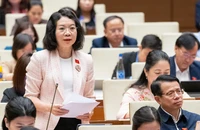 Phó Chủ nhiệm Ủy ban Tư pháp chỉ rõ 'bệnh thành tích', 'tư duy nhiệm kỳ'... gây ra lãng phí