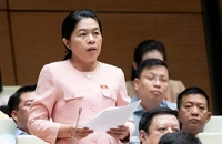 Bà Nguyễn Trần Phượng Trân làm Phó Trưởng Đoàn ĐBQH chuyên trách đoàn TP.HCM