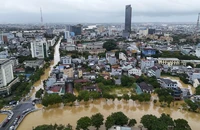 Bộ Chính trị yêu cầu khẩn trương khắc phục hậu quả do Bão số 12 và mưa, lũ sau bão