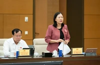 Bà Lê Thị Nga: Nguồn luật sư công khó bảo đảm tính khả thi