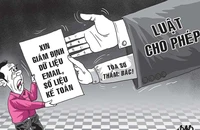 Không đánh giá chứng cứ điện tử, bị kháng nghị