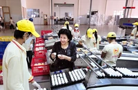 ‘Hôn nhân’ quỹ đầu tư với doanh nghiệp liên tục tan vỡ