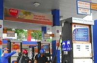 Tìm cách giải cứu xăng E5
