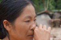 Thanh Hóa: Mưa lũ làm 15 người chết, mất tích