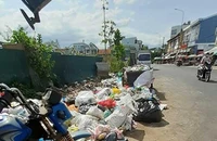 Dân bức xúc vì rác ùn ứ cả tháng trời