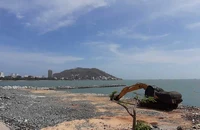 6 lý do khởi động lại dự án thủy cung ở Vũng Tàu