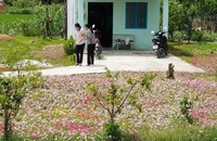 Nở rộ những đường hoa chống xả rác ở TP.HCM