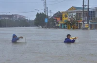 Báo Pháp Luật TP.HCM kêu gọi hỗ trợ đồng bào miền Trung bị lũ