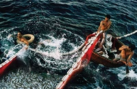Sắc màu của biển