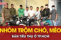 Bắt quả tang nhóm trộm chó, mèo đem bán tiêu thụ ở TP.HCM