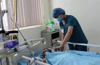 Vụ 6 người ăn cá nóc ngộ độc: 1 người tử vong