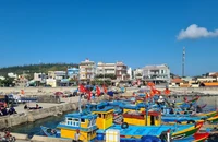 Quảng Ngãi đồng ý mở tuyến đường thuỷ Đà Nẵng-Lý Sơn