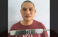 Bị bắt vì trộm ô tô của chính mình 