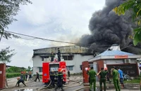 Cháy lớn ở Cụm công nghiệp Trảng Nhật 